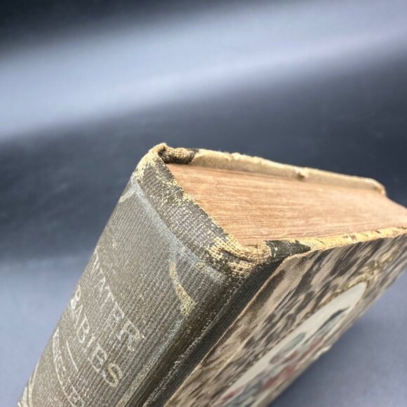 Antique Book Water Babies Charles Kingsley Fairytale Art Nouveau 1910 Hardback - Picture 14 of 15